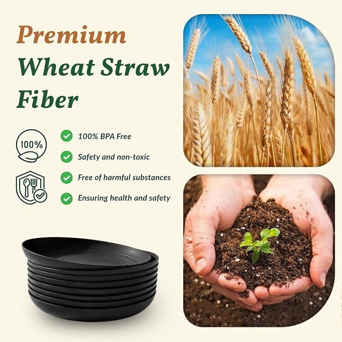 Wheat Straw Plates Set - Image 3