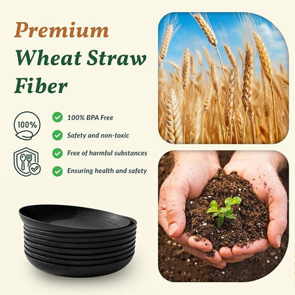 Wheat Straw Plates Set - Image 3