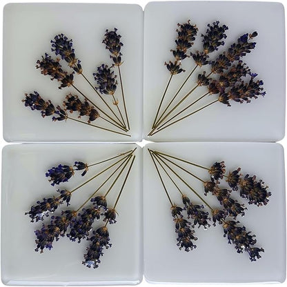 Handcrafted Pressed Lavender Resin Coasters White with Cork Base, Decorative Table Protection (4, Square)