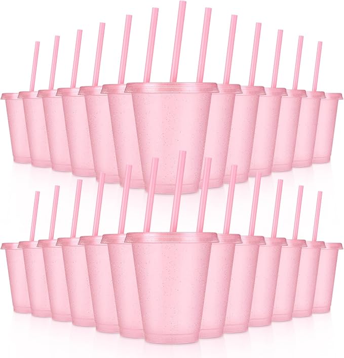 24 Pcs Plastic Tumblers with Lids and Straws, Reusable Cups with Lids Plastic by LEIFEOSH