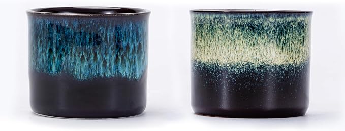 Espresso Cups Set of 2, Ceramic Espresso Cups, Expresso Shots Cups, 2.5oz Tea by RISTEASO