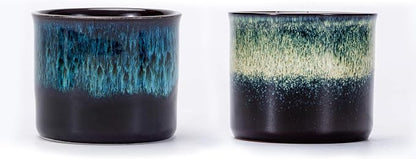 Espresso Cups Set of 2, Ceramic Espresso Cups, Expresso Shots Cups, 2.5oz Tea by RISTEASO