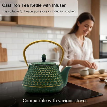 Cast Iron Tea Kettle, Japanese Tetsubin Teapot Coated - Image 4