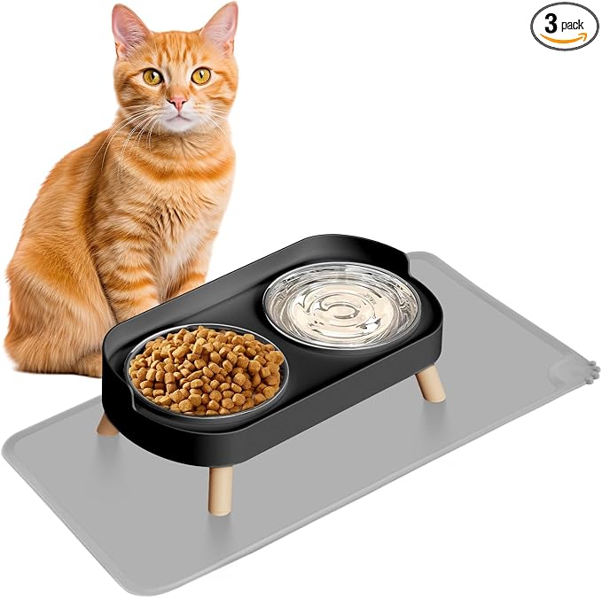 Elevated Cat Bowl with Food Mat, Raised Cat Food and Water Bowl Set by HIAIEVIY