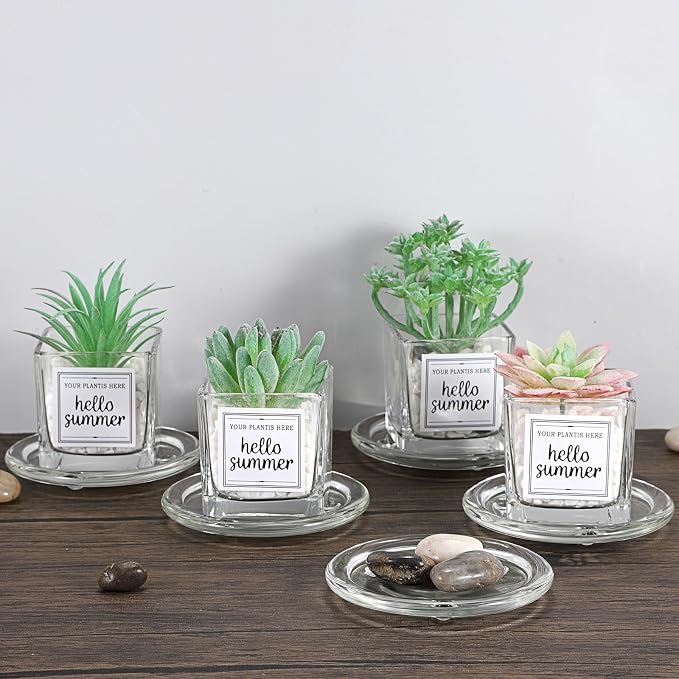 JUXYES Set of 5 Heat-Resistant Clear Glass Coaster - Image 9