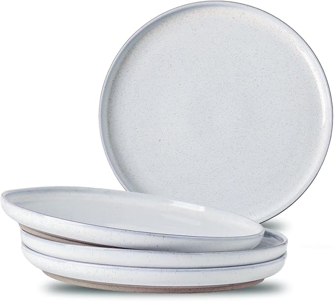 Ceramic Dinner Plates Set of 4 by Tikooere