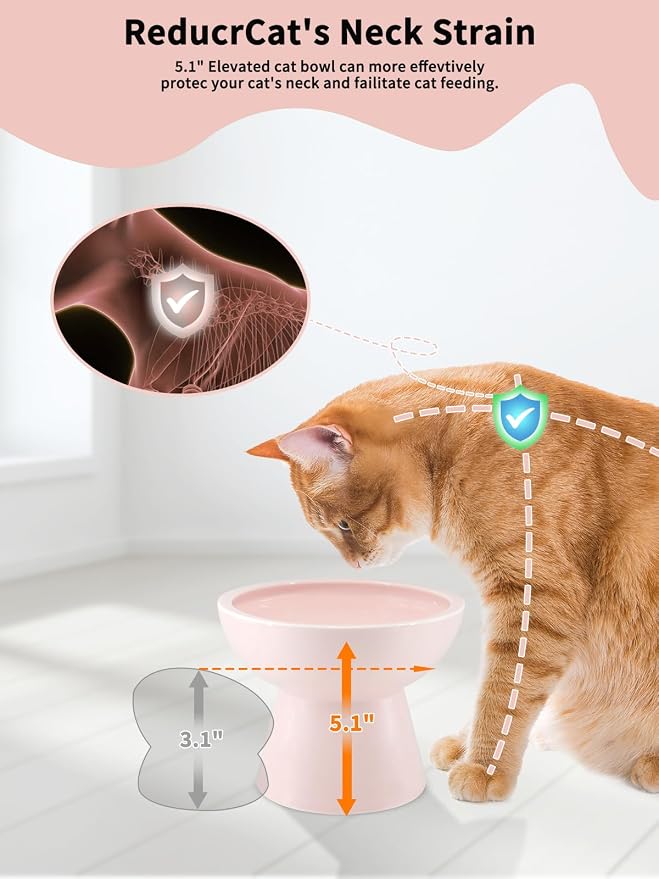 LoeJan Elevated Cat Food and Water Bowls Set - Image 3