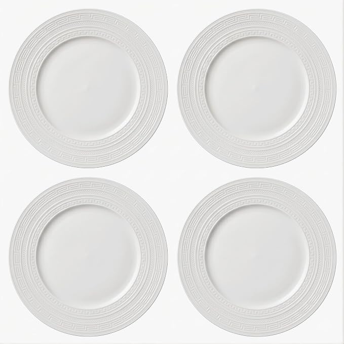 10 Inch Porcelain Dinner Plates Set of 4, Dishwasher safe, Microwave safe by Unknown