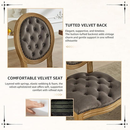 Vintage French Dining Chairs Set of 2, Round Back Velvet Upholstered Accent Chairs with Nailhead Trim and Solid Wood Frame, Elegant Sillas de Comedor for Dining Room & Kitchen, Gray