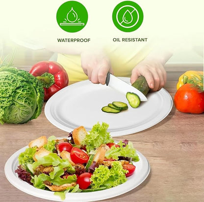 Oval Plates Disposable (125, Large) Eco-Friendly Sugarcane – Biodegradable, Compostable, Sturdy, BPA-Free, Microwave & Freezer Safe – Perfect for Parties, Weddings, Picnics & Everyday Use