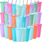 Honeydak 30 Pack Tumbler with Straw and Lid Bulk Cups by Honeydak