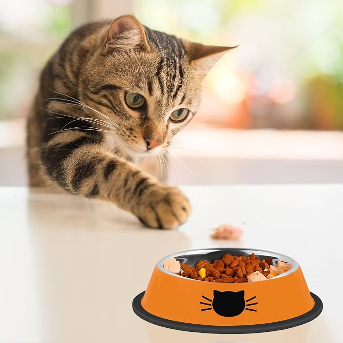 Serentive 2 Pcs Non-Slip Stainless Steel Small Cat Food Bowls - Image 6