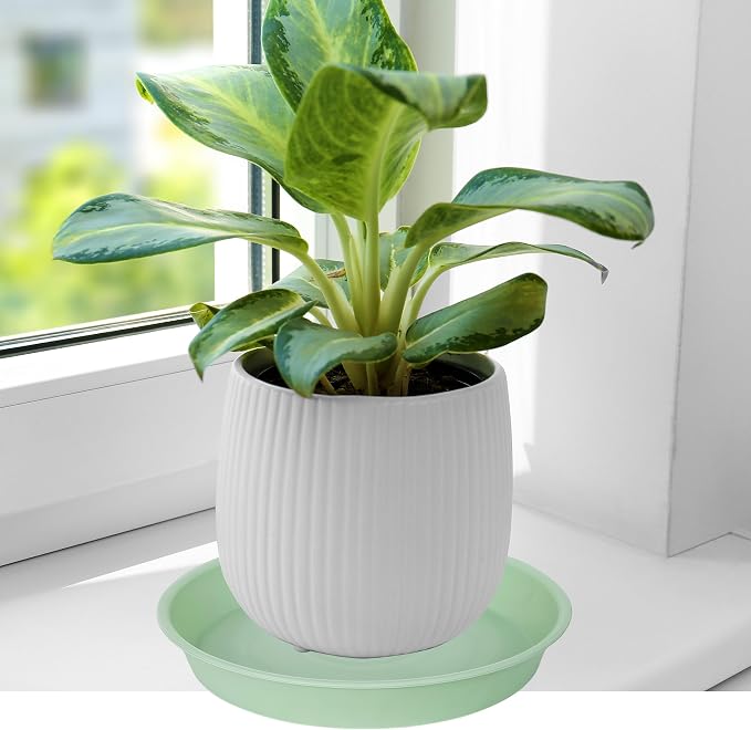 2 Pack of 10 inch Plant Saucer Gray, Heavy Duty Plastic Plant Saucer 10 inch - Image 4