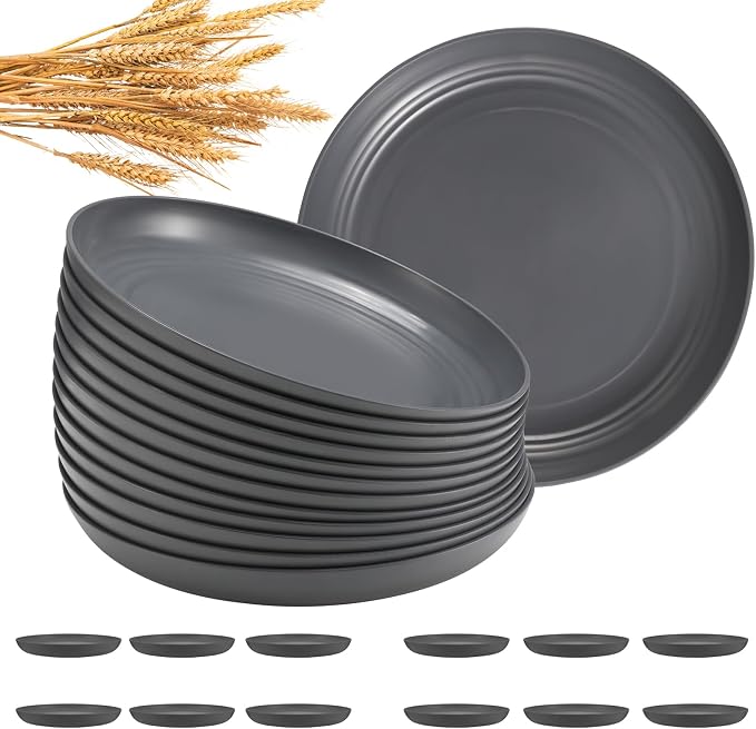 HEYCOME 12 Pcs Unbreakable Deep Dinner Plates Set, 10 inch Reusable Plastic by StayHealthyStayHappy