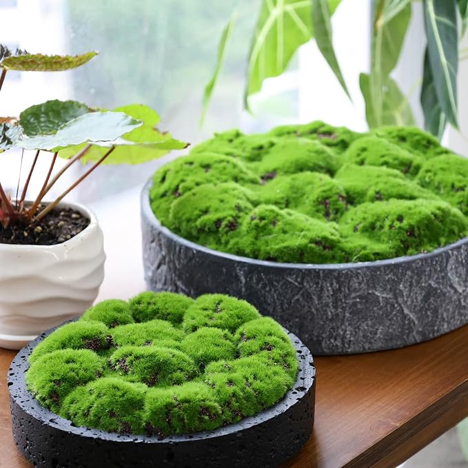 NAHARO New Moss Bowl, Living Room, or Coffee Table Display - Image 4