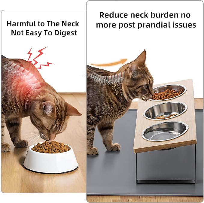 Upgraded Elevated Cat Bowls - Image 2