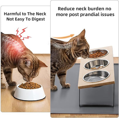 Upgraded Elevated Cat Bowls - Image 2