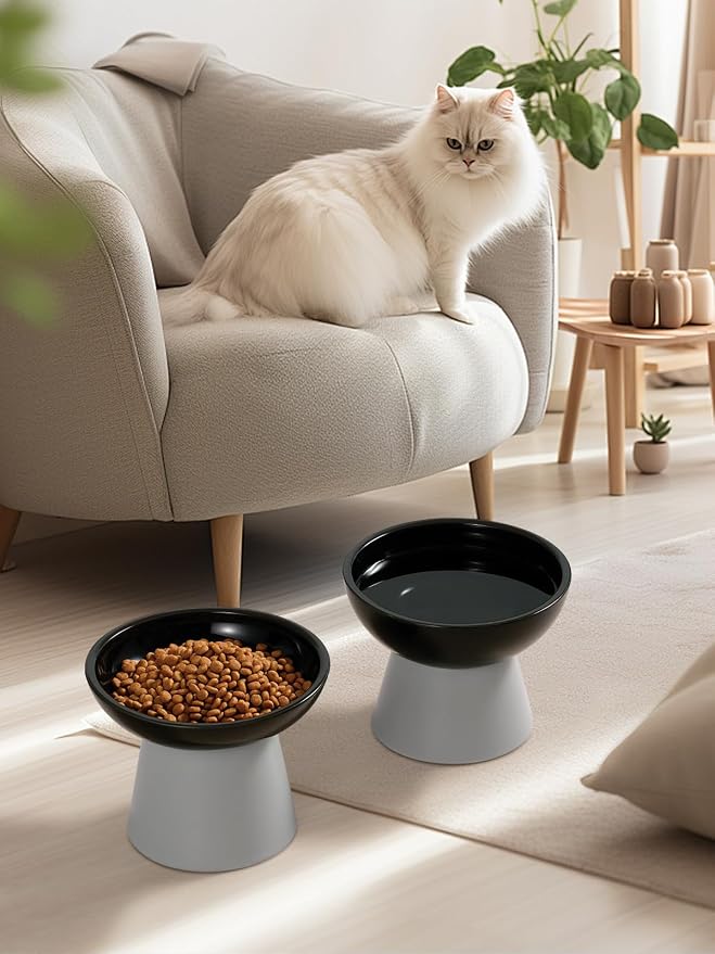 LoeJan Elevated Cat Food and Water Bowls Set, Extra Wide and Raised Ceramic - Image 9