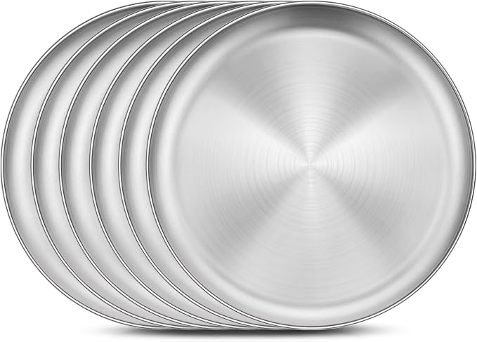 Homikit 6 Pack Stainless Steel Plate Set, 10.2 Inch Metal Dinner Plates by Homikit