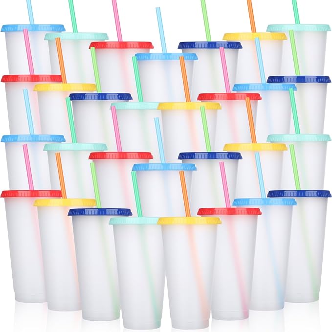 Honeydak 30 Pack Tumbler with Straw and Lid Bulk Cups by Honeydak