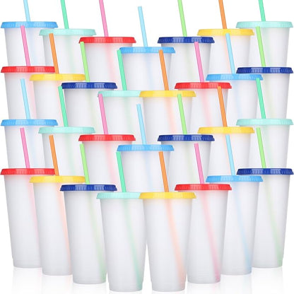 Honeydak 30 Pack Tumbler with Straw and Lid Bulk Cups by Honeydak