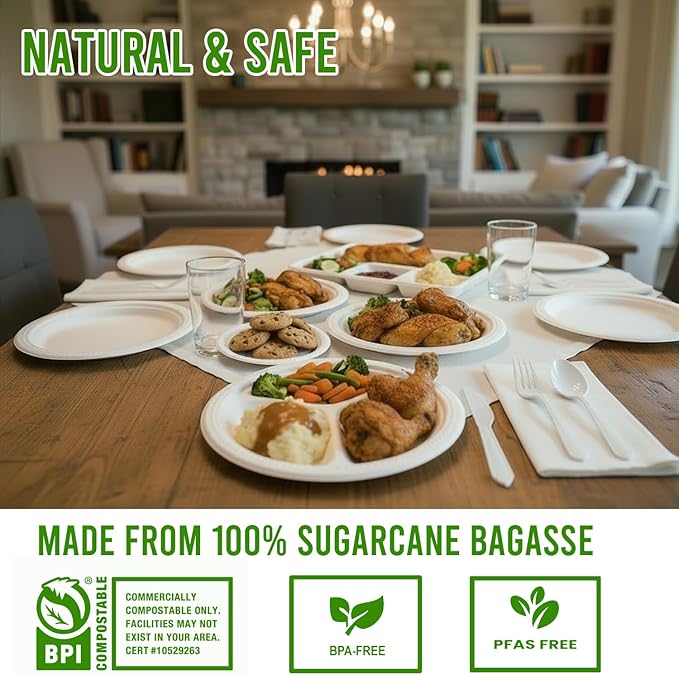 Small Compostable Heavy Duty Disposable Paper Plates, 600 Count | 6 Inch Round | Natural Bagasse, White Biodegradable Eco-Friendly Sugarcane Sandwich, Cake, Snack Dessert Tray