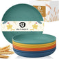 11 Inch Large Wheat Straw Plates 8 Pieces, Unbreakable Dinner Plates Reusable Plastic Plates Alternatives, Microwave Safe Plates for Kitchen, Plates Set of 8 (Multicolor)