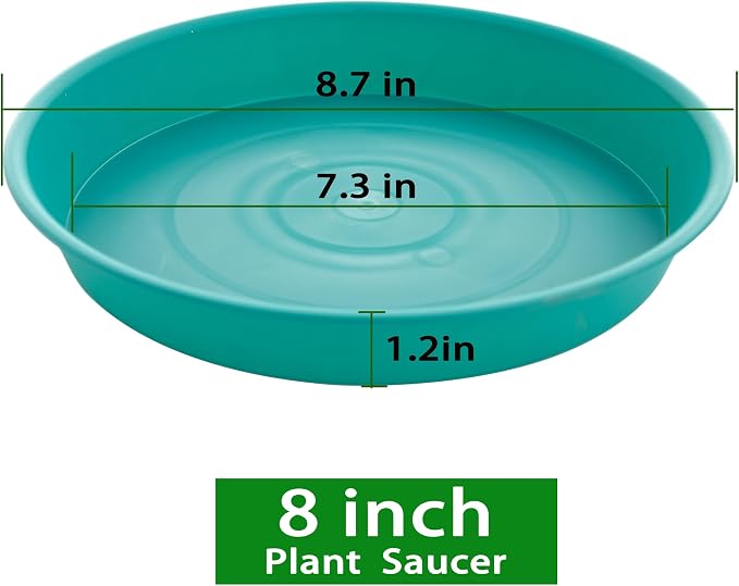 2 Pack of 8 inch Plant Saucer Clear, Heavy Duty Plastic Plant Water Tray 8 inch - Image 2