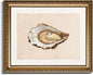 InSimSea Gold Framed Wall Art, Vintage Oyster Shell Sketch Kitchen Wall Decor, Still Life Canvas Print Art, Dining Room Farmhouse Decor, Antique Paintings with Picture Frame 13x16inch