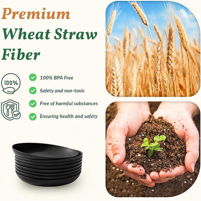 Wheat Straw Plates Sets 8 PCS Unbreakable Plastic Plates - Image 3