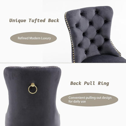 KCC Velvet Dining Chairs Set of 2, Upholstered High-end Tufted Dining Chair with Nailhead Back Ring Pull Trim Stainless Steel Legs, Contemporary Nikki Collection Modern Style for Kitchen, Dark Gray