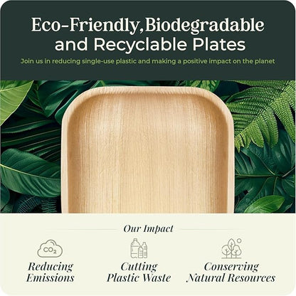 Palm Leaf Plates Bamboo Paper Disposable 2.5 Inch Small Mini Sushi Square Party Plates 100 Pack Bulk Biodegradable Compostable Elegant Alternative To Wooden Plastic Plate By KoalaLove