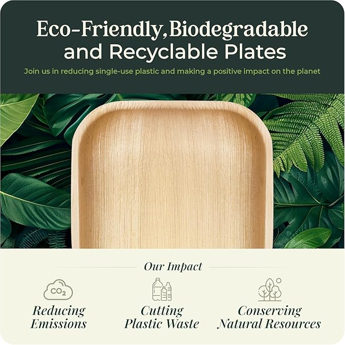 Palm Leaf Plate Bamboo Paper Disposable 6 Inch 200 Bulk Appetizer and Dessert Square Party Pack Eco Biodegradable Compostable Wooden Plate Better Than Plastic By KoalaLove
