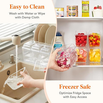Lifewit Chilled Condiment Caddy - Image 7