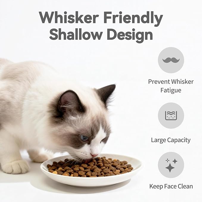 [8 Pack] Ceramic Cat Food Bowl, Cute Cat Bowls Whisker-Friendly, 5.9" Shallow Wide Kitten Plates, Easy to Clean Indoor Feeding Dishes