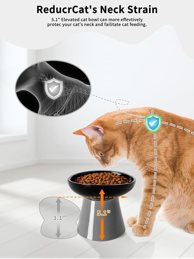 LoeJan Elevated Cat Food and Water Bowls Set, Extra Wide and Raised Ceramic - Image 7