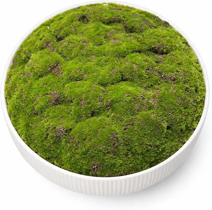 Moss Bowl |11.75" Diameter | Artificial | Fluted Pedestal Bowl | Home Décor
