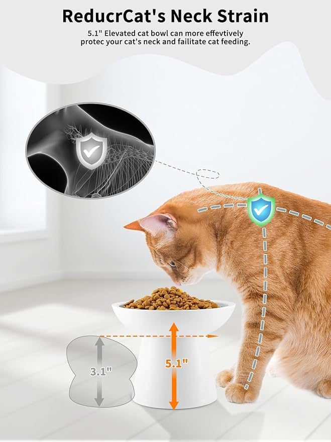 LoeJan Elevated Cat Food and Water Bowls Set, Extra Wide and Raised Ceramic - Image 3