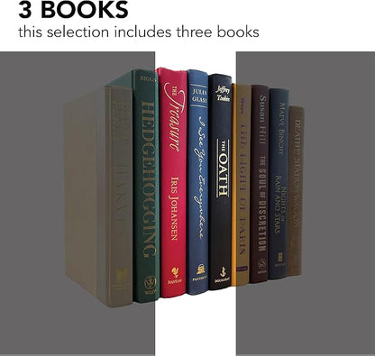 Real Books by Color® (Set of 3, Multicolor) Decorative Bookshelf Home Decor Shelf Styling Photo Prop