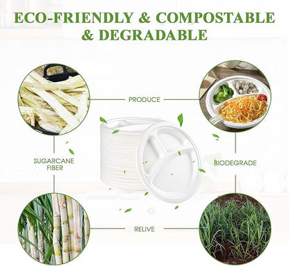 Vplus 100% Compostable Paper Plates, 150 Pack 9 Inch 3 Compartment Plates Disposable, Heavy Duty Biodegradable Plates Made of Sugar Cane Fibers, for Daily meals, Dinner, Parties, BBQ