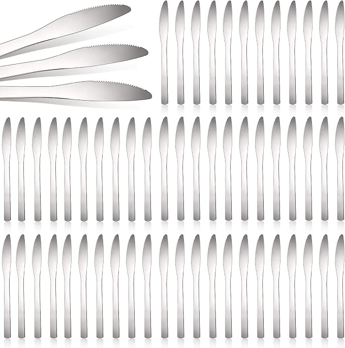 Therwen 64 Pieces Dinner Knives Set Stainless Steel Knife 8.43 Inches Silver by Therwen