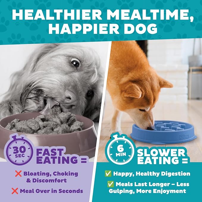Outward Hound Fun Feeder Slo Bowl – 2‑Cup Capacity, Slow Feeding, Small to - Image 7