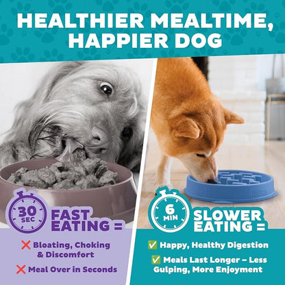 Outward Hound Fun Feeder Slo Bowl – 2‑Cup Capacity, Slow Feeding, Small to - Image 7