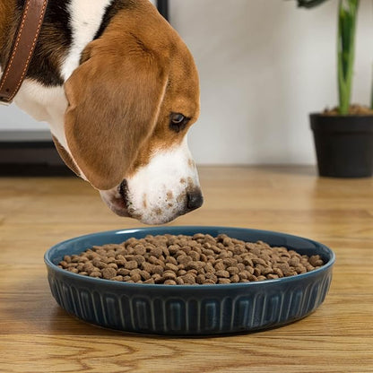Fun Elements Shallow Dog Bowls, 8" Ceramic Dog Food Plate for Small and Medium Breeds, Non-Slip, Flat and Wide, Dishwasher Safe, Suitable for Puppies and Kittens (Blue)