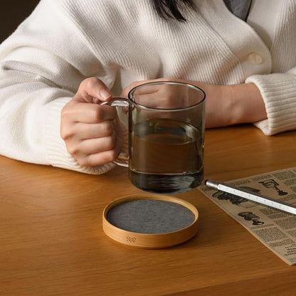 GUDEE TRIVI Set of 4 Absorbent Diatomite Coasters With Diatomaceous Earth and Bamboo Frame, Water Absorbing for Bottles, Dry Table, Countertop, Sink Area, Kitchen Bathroom Surface, Grey