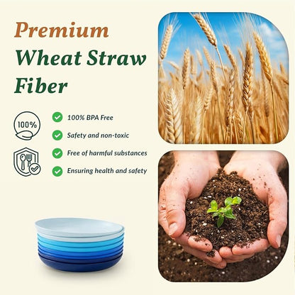 Dessert Plates Set of 8-8 inch Plate Set Wheat Straw Plates - Image 3