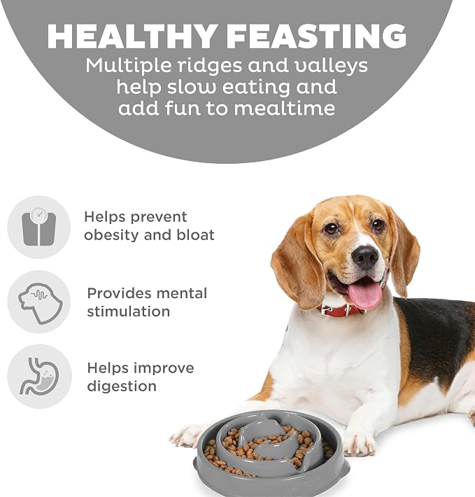 Outward Hound Fun Feeder Slo Bowl – Medium 2‑Cup Capacity, Slow Feeding - Image 2