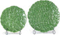 KAMMAK Ceramic Decorative Plate Set of 2, Porcelain Plates for Kitchen Dining Room Wine Cabinet Home Decor, Vintage Collector Plates with 2 Display Stand, Green Flowers (8-inch + 10-inch)