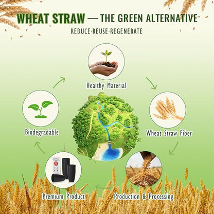 Wheat Straw Large Cup Set of 6, Unbreakable 20 OZ Tumbler, Alternative to - Image 5
