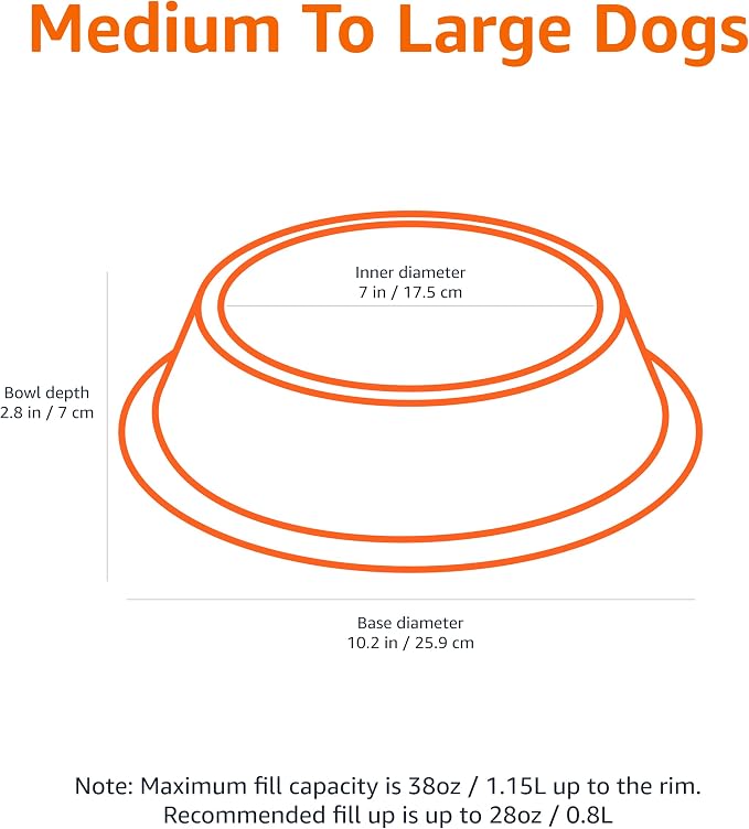Amazon Basics Stainless Steel Non-Skid Dog Bowl, Dishwasher Safe, Rust Resistant - Image 2